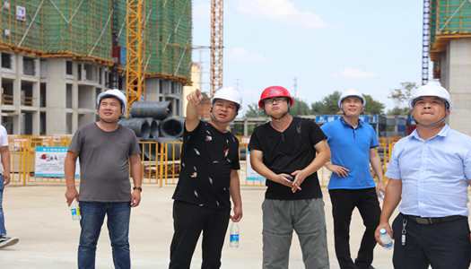 开云手机web版登录入口董事会巡检圆满完成